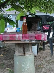 madu kelulut asli