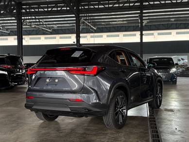 Lexus NX 250 LUXURY in Bandar Kinrara, SGR