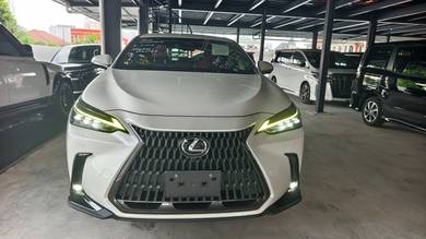 2022 Lexus NX 250 LUXURY