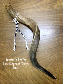Shofar L size