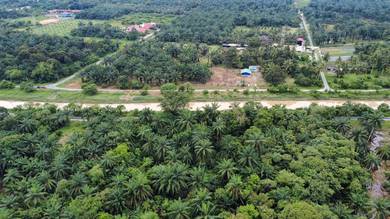 Agricultural Land in Sepang, SGR