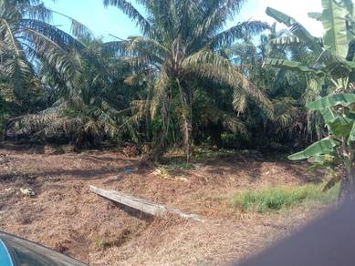 Agricultural Land in Ayer Baloi, JHR