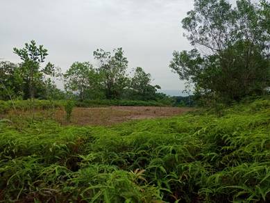 Residential Land in Serendah, SGR