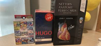 netters anatomy flash cards