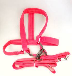 New Pet Leash