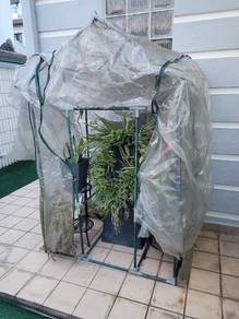 small plant house