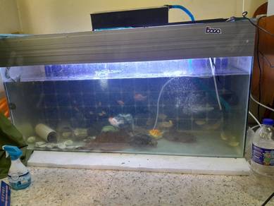 Aquarium 4 kaki