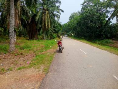 Agricultural Land in Kuala Selangor, SGR