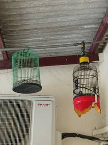 sangkar burung