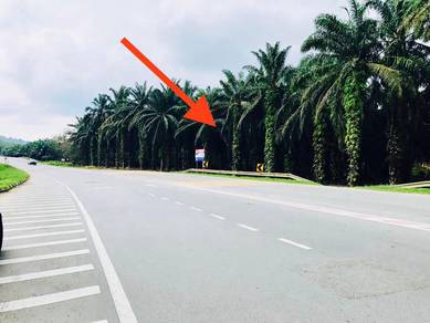 Agricultural Land in Kota Tinggi, JHR