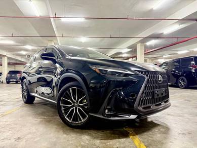 2022 Lexus NX 250 LUXURY