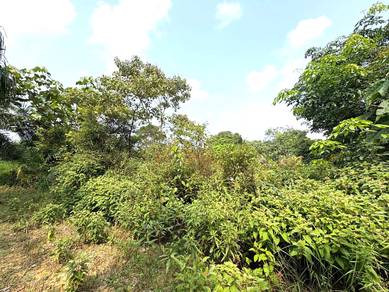 Agricultural Land in Kota Tinggi, JHR