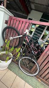 fixie