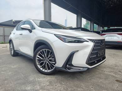 Lexus NX 250 LUXURY in Chan Sow Lin, KUL