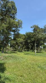 Agricultural Land in Kuantan, PHG