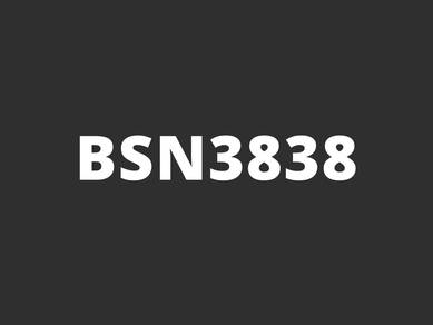 BSN3838
