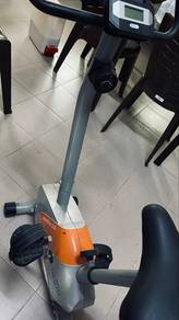 Gintel Aero Bike