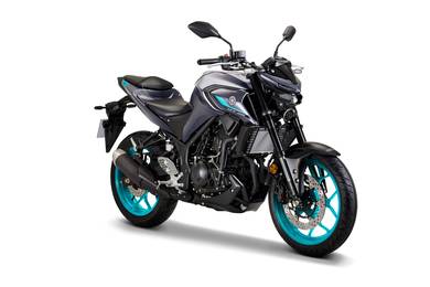 Yamaha MT250