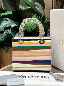 Christian Dior Lady Dior Art Bag