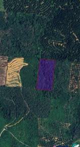 Agricultural Land in Sungai Siput, PRK