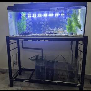 Aquarium 
