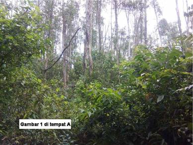 Agricultural Land in Duyong, MLK
