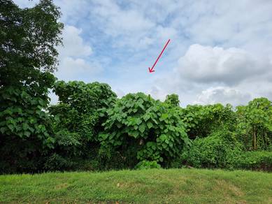 Agricultural Land in Bandar Saujana Putra, SGR