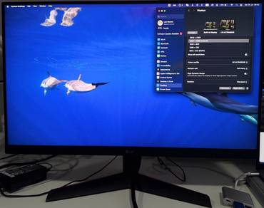 LG Gaming Monitor 24”