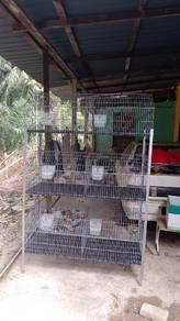 sangkar arnab siap pasang