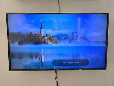 LG 43" Smart TV