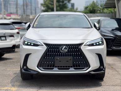 2022 Lexus NX 250 LUXURY