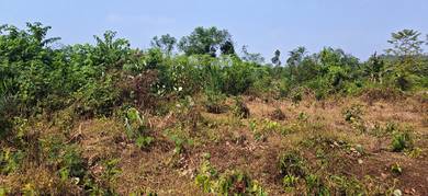 Others Land in Hulu Terengganu, TRG
