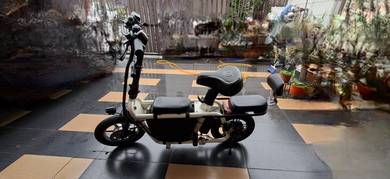 Dual motor ebike