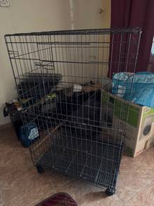 Sangkar Kucing Bertingkat