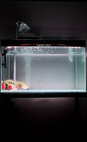 3FT Akuarium Full Set