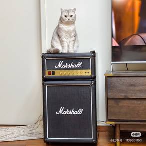 All New Marshall Fridge