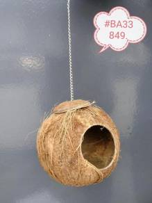 BA33849SBP Coconut Hut Kelapa Bird Sugar Glider