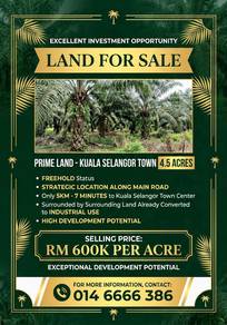 Agricultural Land in Kuala Selangor, SGR