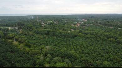 Agricultural Land in Merlimau, MLK
