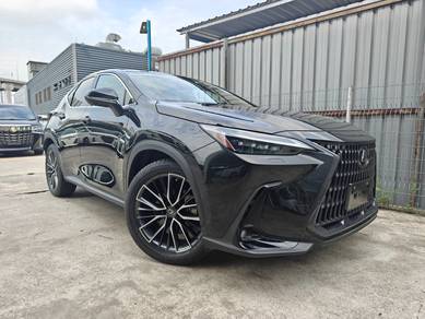 2023 Lexus NX 250 LUXURY
