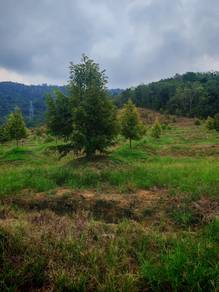 Agricultural Land in Tampin, NSN