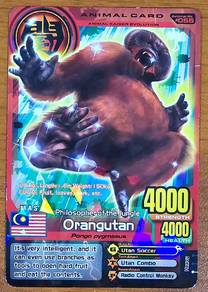 Animal Kaiser Evo 5 Orangutan Animal Card