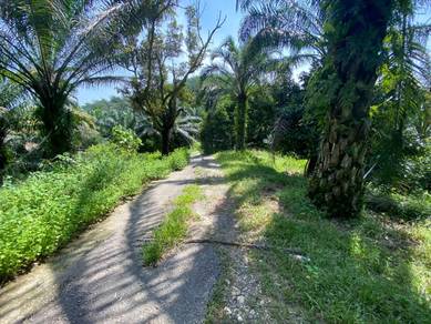 Agricultural Land in Semenyih, SGR