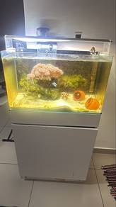 Tank saltwater aquarium