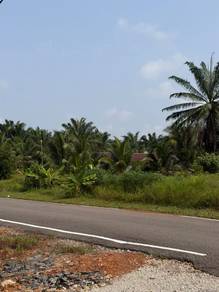 Agricultural Land in Benut, JHR