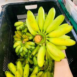 Ready Stock Pisang Mas/kg, Banana Mas/kg