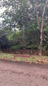 Residential Land in Bukit Beruntung, SGR