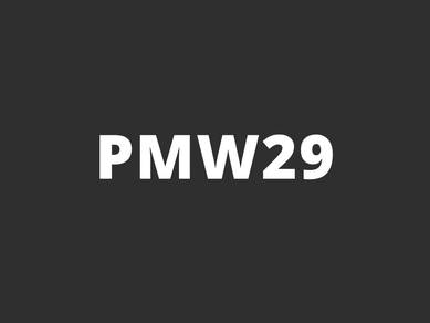 PMW29