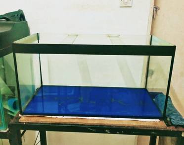 2.5 ft aquarium.