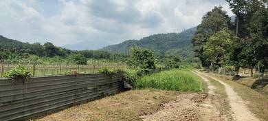 Agricultural Land in Kerling, SGR